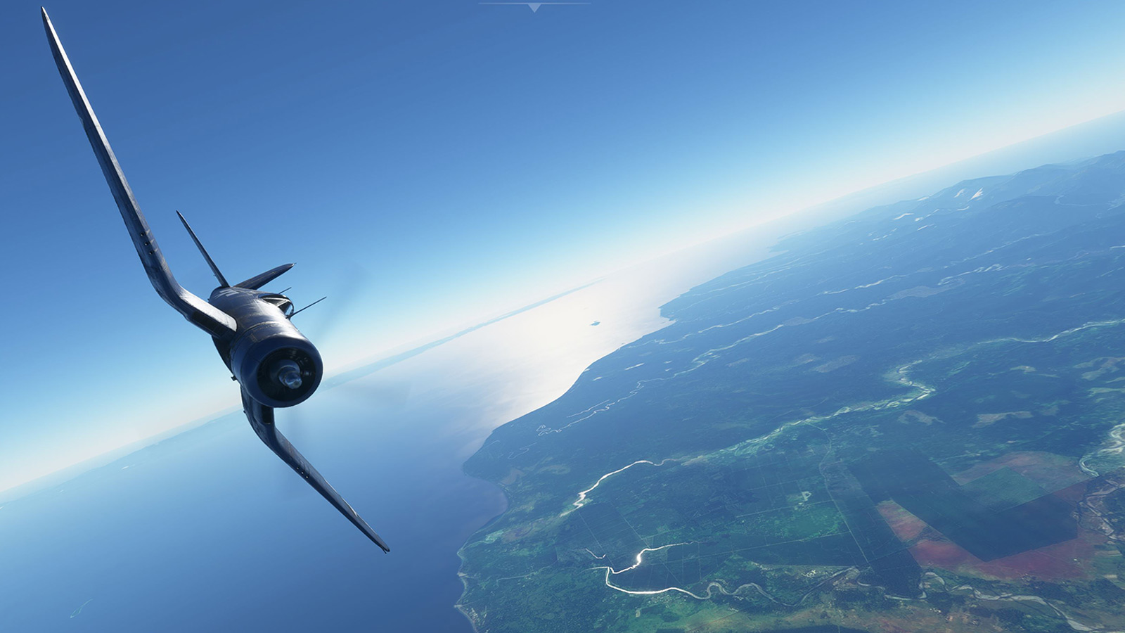 Microsoft Flight Simulator 2020 Review Bomb Caused by Long